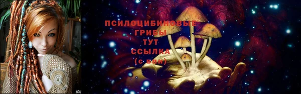 прущий лед Ладушкин