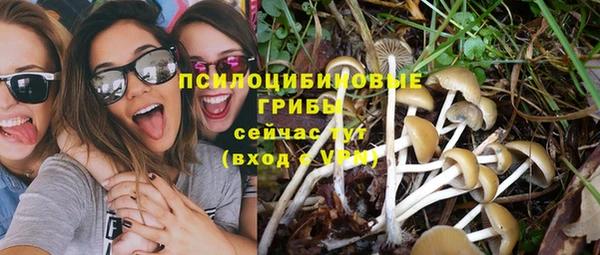 прущий лед Ладушкин