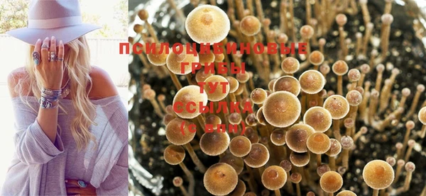 твердый Куйбышев