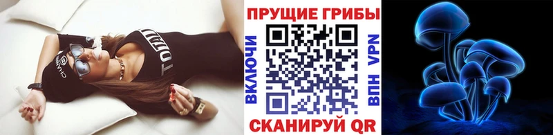 Псилоцибиновые грибы Psilocybine cubensis Купить где Каменск-Уральский